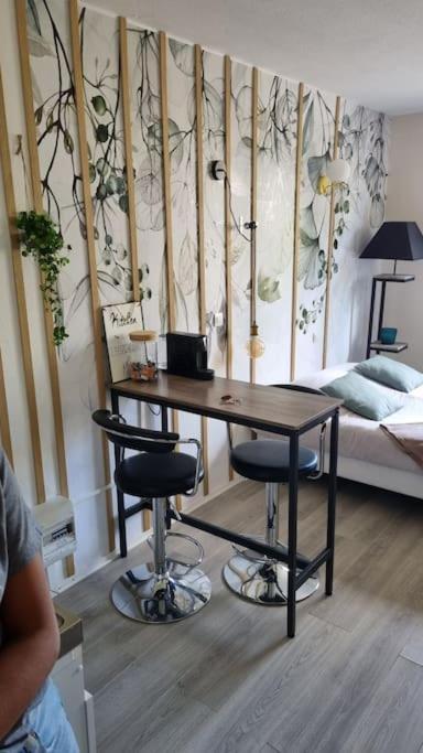 Hsh France Location Disney Land Paris - Suite Nicolas - Appartement De Charme Μπισί-Σεν Ζορζ Εξωτερικό φωτογραφία