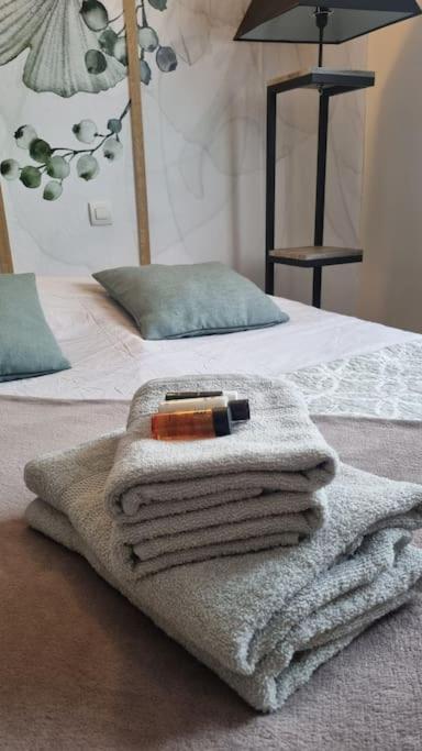 Hsh France Location Disney Land Paris - Suite Nicolas - Appartement De Charme Μπισί-Σεν Ζορζ Εξωτερικό φωτογραφία